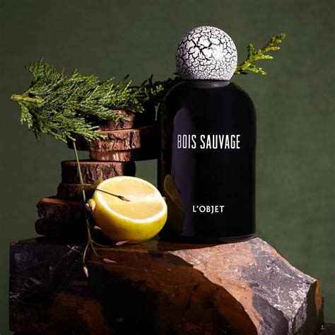 bois sauvage l'objet